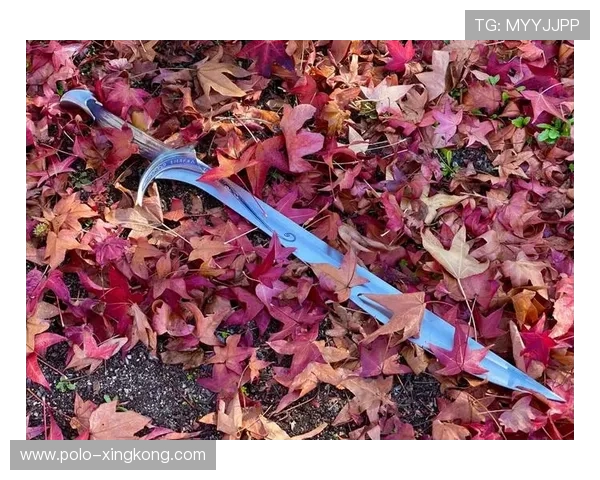 足球球星发箍:彰显个性与竞技精神的独特装备与潮流趋势 足球球星发箍:彰显个性与竞技精神的独特装备与潮流趋势